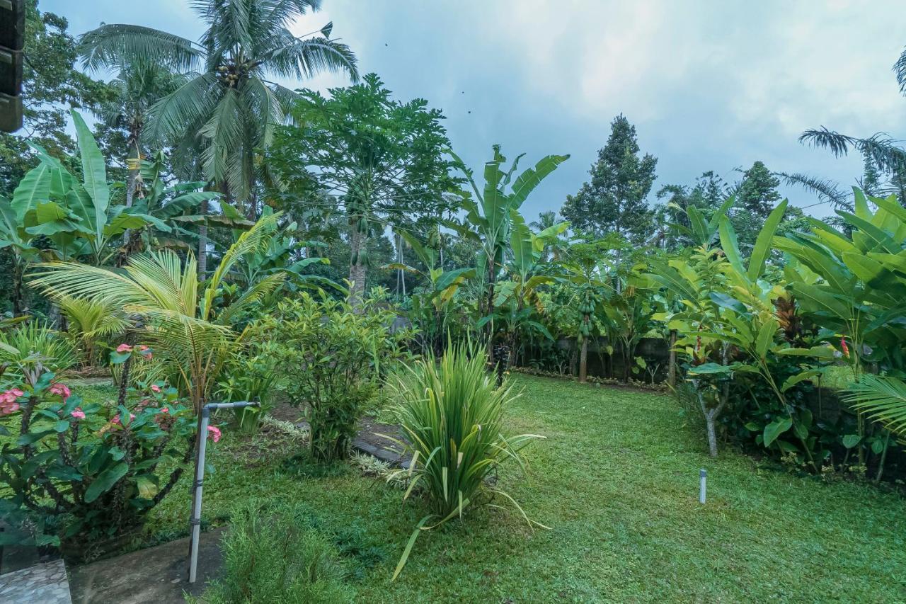 Vaneka Garden House Ubud  Ngoại thất bức ảnh